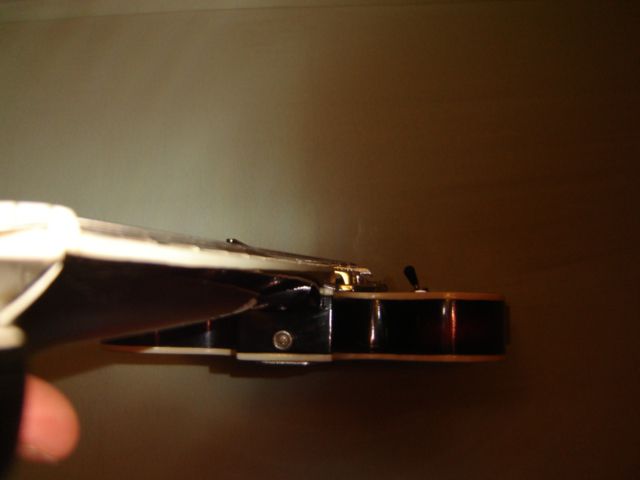 Ibanez goldentone 1966 - foto