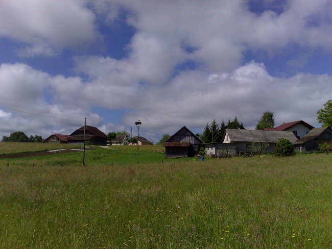 Boršt - foto povečava