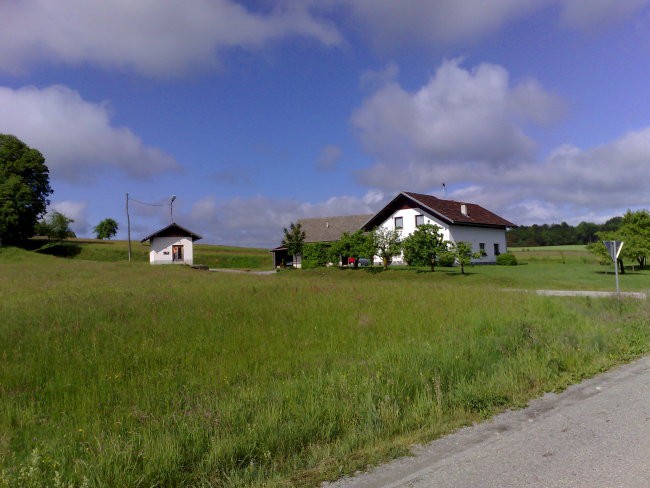 Boršt - foto povečava