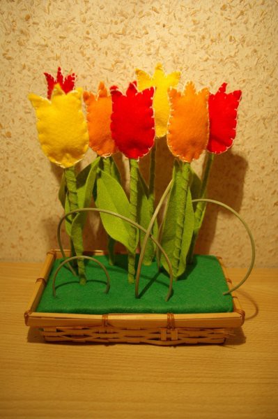 tulipani filc - maček (ožbalt feb 08)