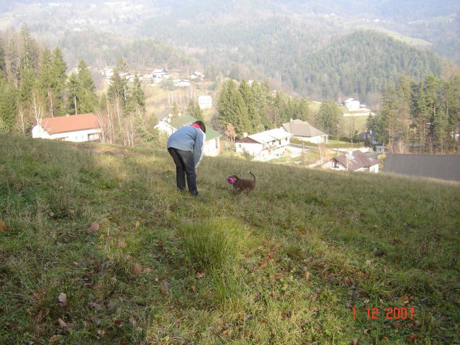 Uživanje pri hiši - foto povečava