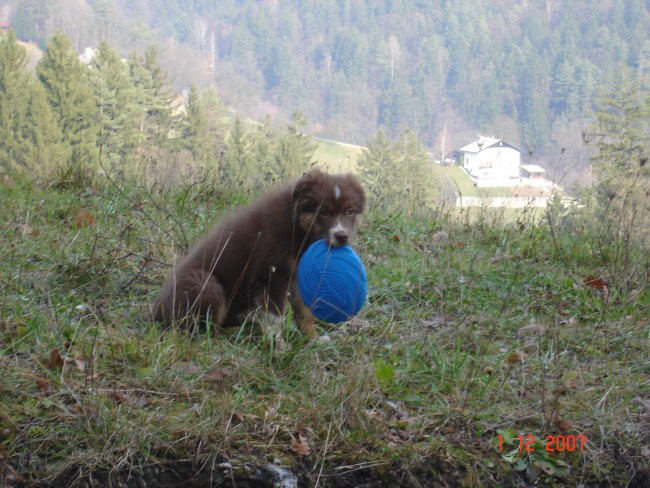 Uživanje pri hiši - foto povečava