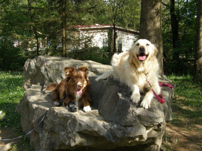 živalski vrt in divjanje z Ginny   :) - foto povečava