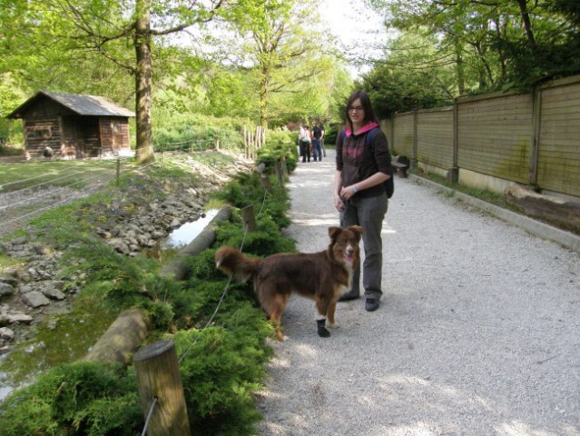 živalski vrt in divjanje z Ginny   :) - foto