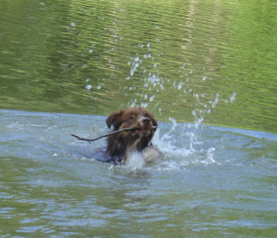 Braslovško jezero 15.7.2008 - foto