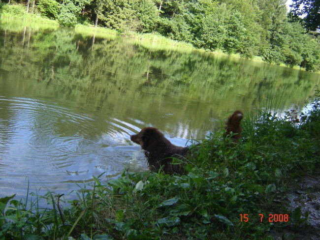 Braslovško jezero 15.7.2008 - foto povečava