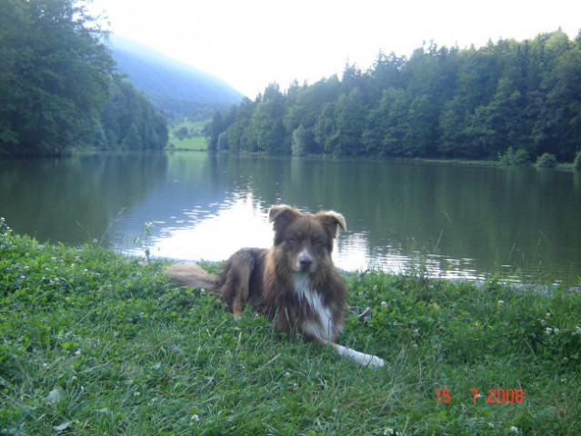 Braslovško jezero 15.7.2008 - foto