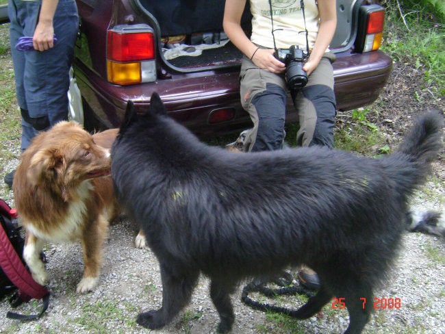 Kurešček  25.7.2008 - foto povečava