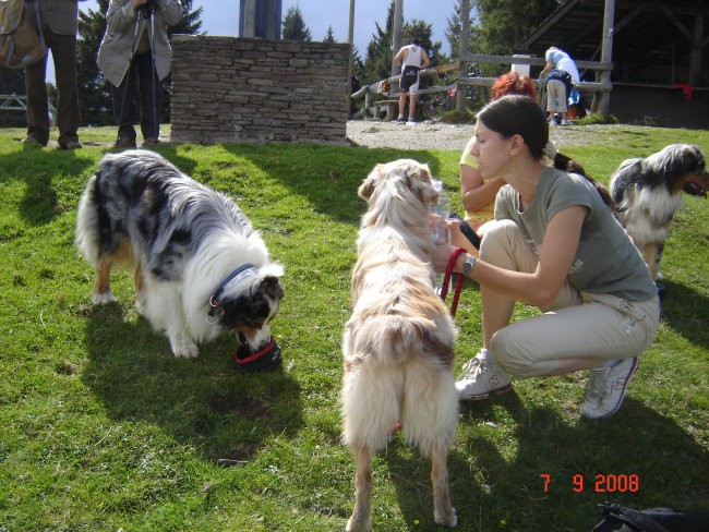 Srečanje za 1. rojstni dan - 7.9.2008 - foto povečava