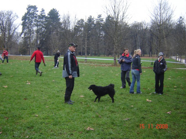 Dogfrisbee 4 fun tekma, 15.11.2008 - foto