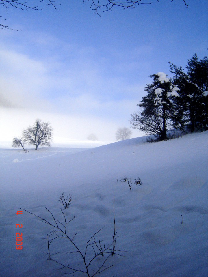 Zima 2008/2009 - foto povečava