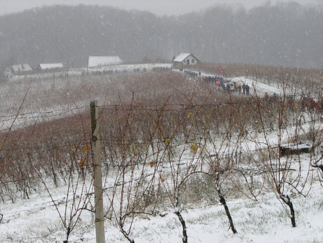 Po poteh soseske zidanice, 17.11.2007 - foto povečava