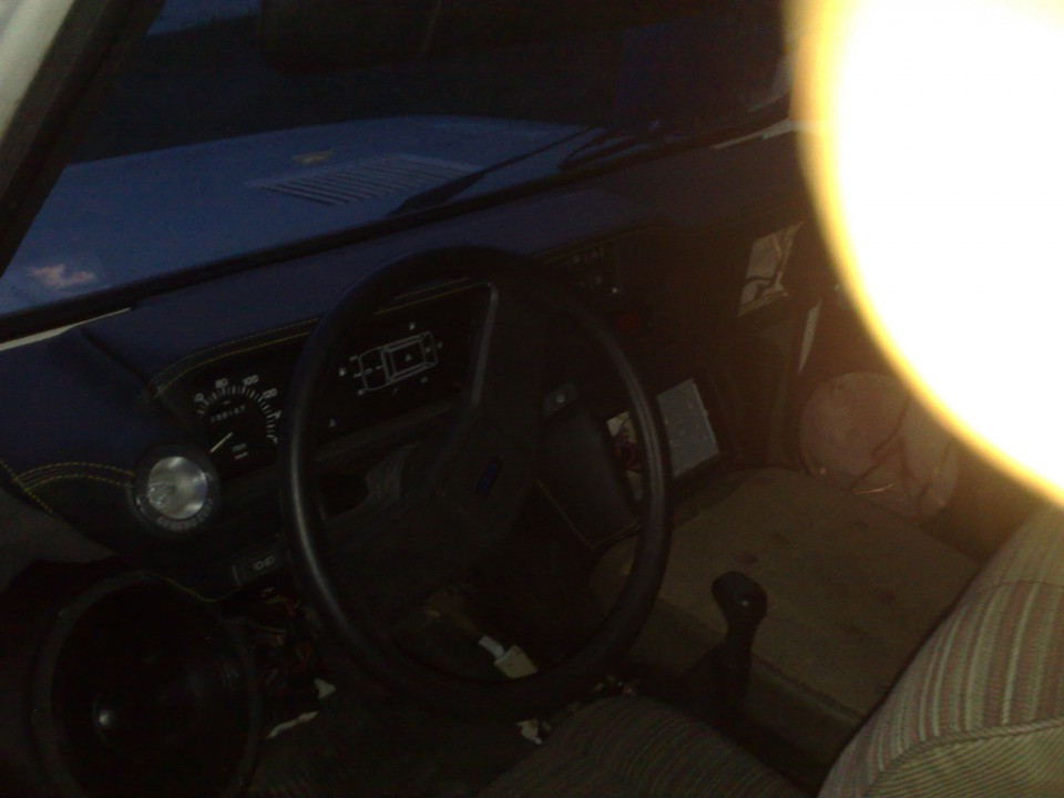 Panda - foto povečava