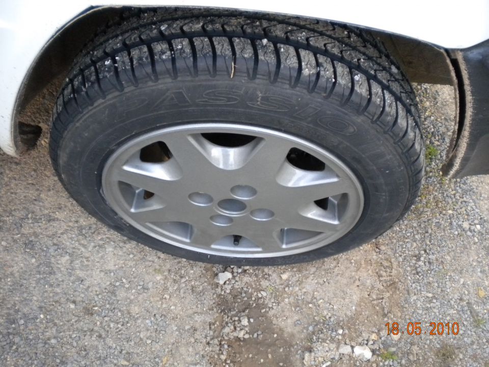 Panda - foto povečava