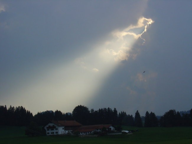 Bayern 05 - Vesna - foto povečava