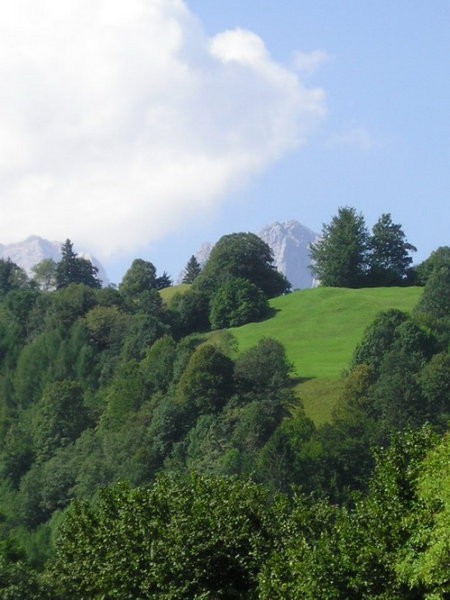 Bayern 05 - Katarina - foto povečava