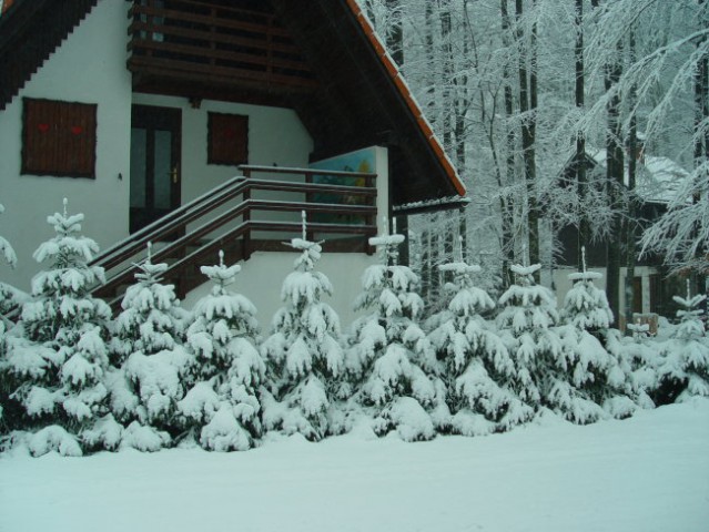 Snežnikž - foto