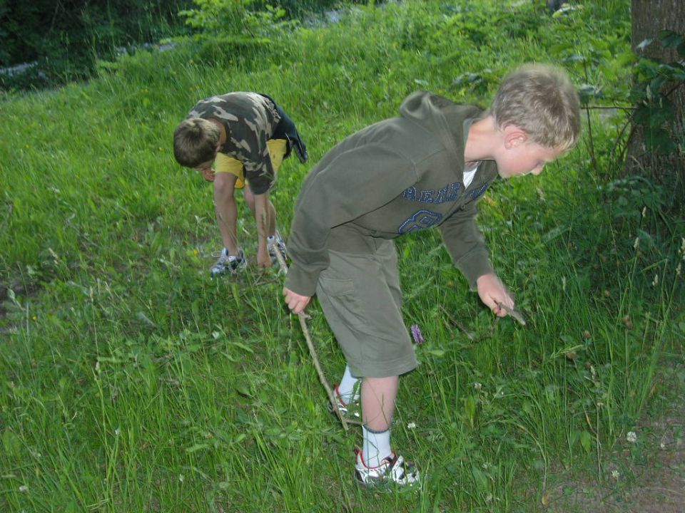 Gozd Martuljek 2010 (part 1) - foto povečava
