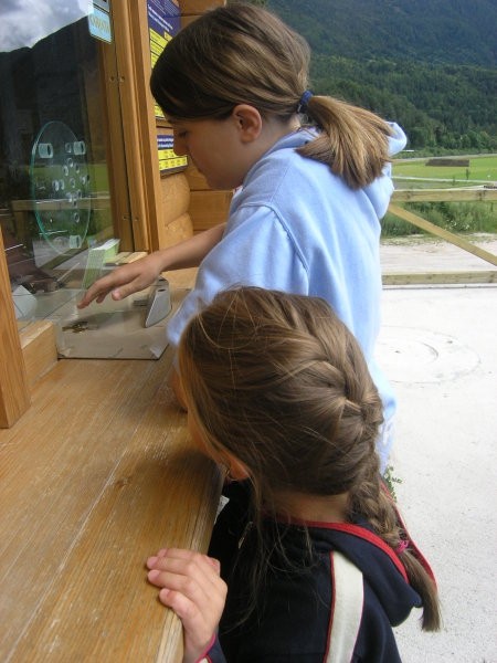 Poletna šola v Gozd Martuljku II. 2007 - foto povečava