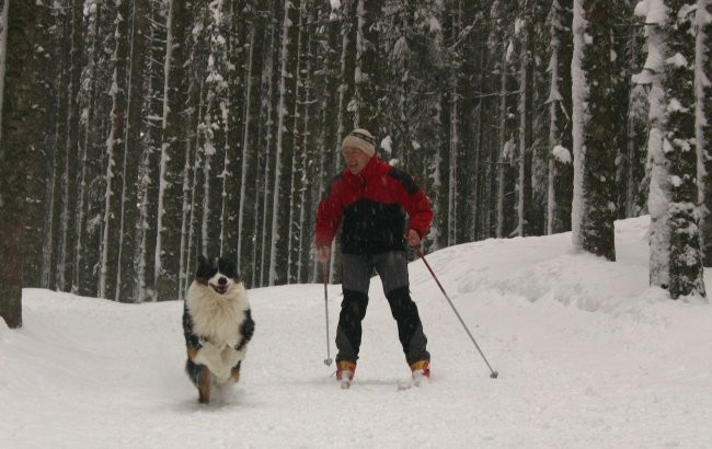 KOODYGOODY KENNEL - foto povečava