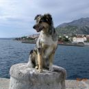 ...na morju
/
...at the Adriatic sea