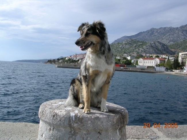 ...na morju
/
...at the Adriatic sea