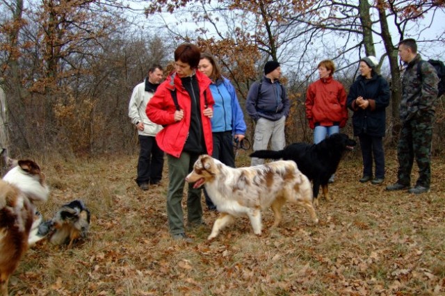 Australian shepherd meeting 2007 - foto