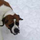 Bina - 
