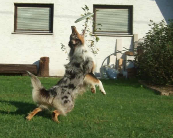 Action