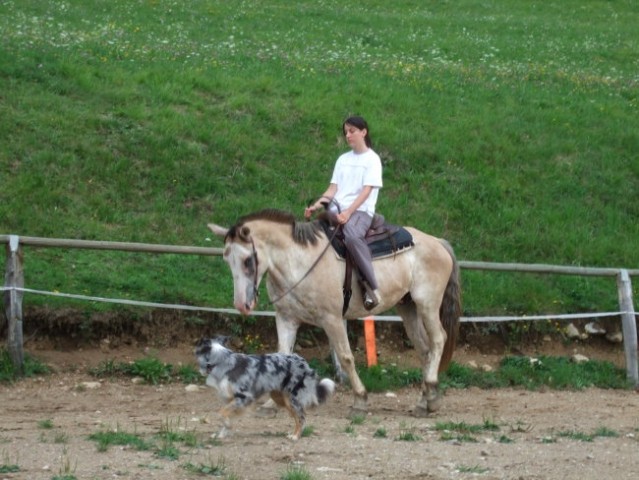 Ginny the farm dog and Nadja the western rider