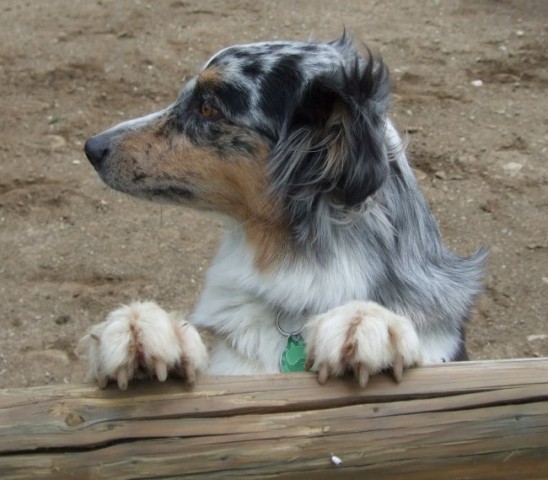 Poletje 2008 - foto