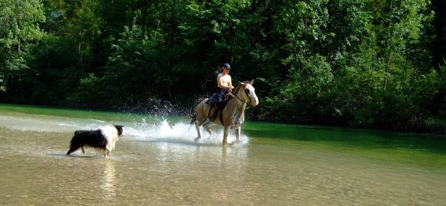 Poletje 2008 - foto povečava