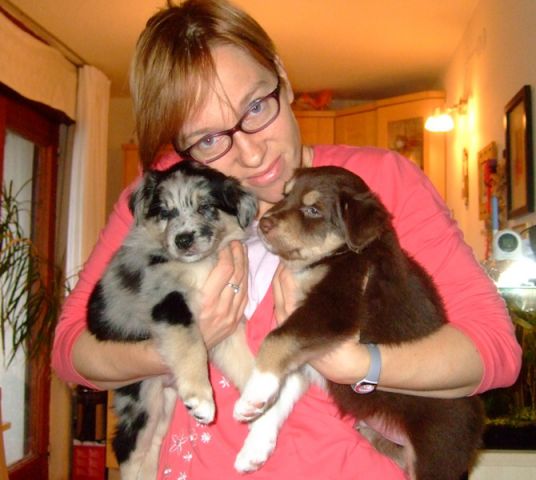 Tana's puppies  - foto