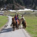 BOHINJ: After ski activities in April - riding Icelandic horses