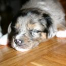 zzzzzzzzzzzzzzzzzzzzzzz.....................