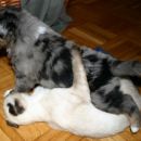 I am better! No, I am bigger!!!