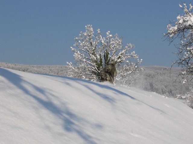 Cajkina zima 2005 - foto