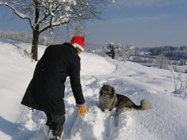 Cajkina zima 2005 - foto povečava