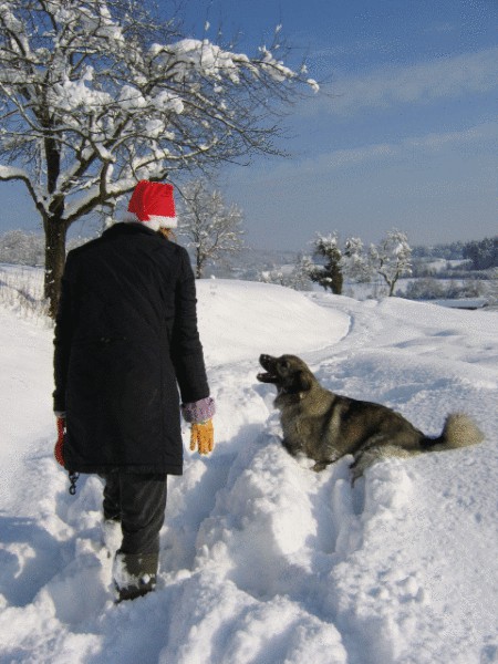 Cajkina zima 2005 - foto