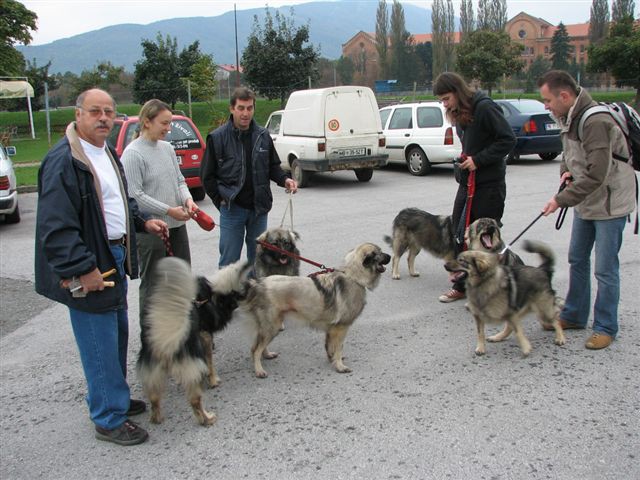 Razstava malih živali Maribor 2005 - foto