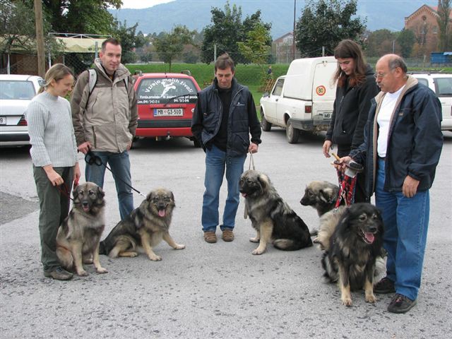 Razstava malih živali Maribor 2005 - foto