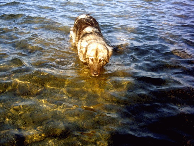 Cajkino poletje in jesen 2005 - foto