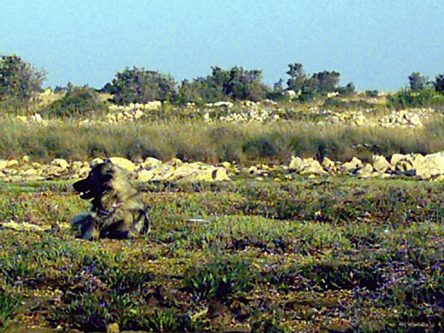 Cajkino poletje in jesen 2005 - foto
