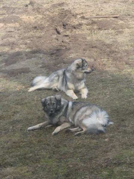 Čita in Čajka - foto povečava