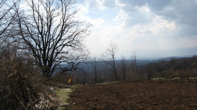 Pohod PDVojnik - Krašnji vrh 29.3.2008 - foto