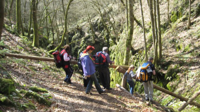 Pohod PDVojnik - Krašnji vrh 29.3.2008 - foto