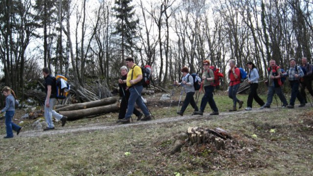Pohod PDVojnik - Krašnji vrh 29.3.2008 - foto