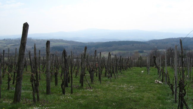 Pohod PDVojnik - Krašnji vrh 29.3.2008 - foto povečava