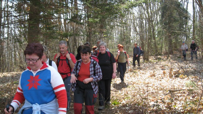 Pohod PDVojnik - Krašnji vrh 29.3.2008 - foto povečava