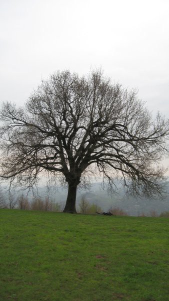 Pohod PDVojnik -  Po poteh soške fronte 13.4. - foto